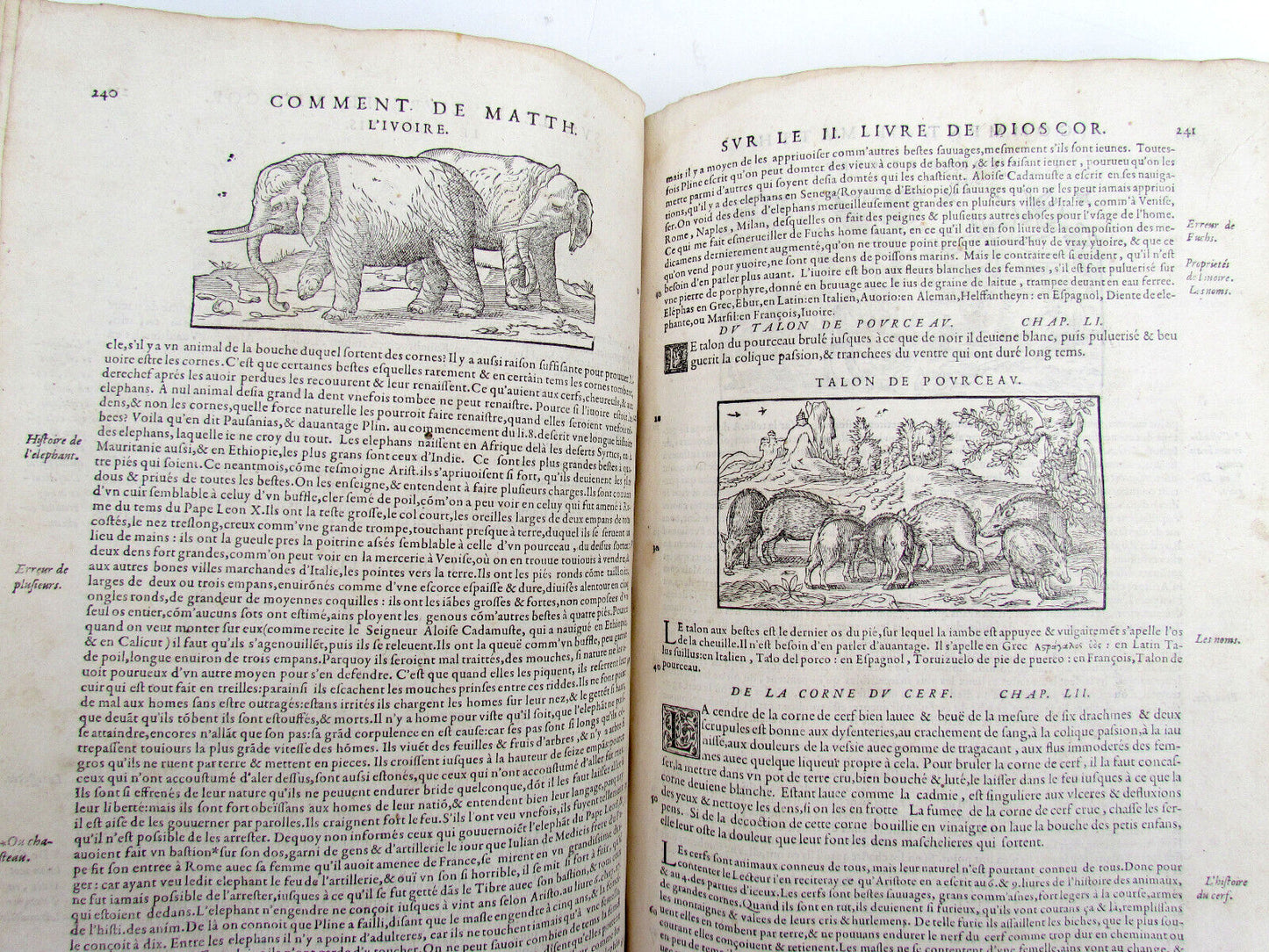 1579 MATTHIOLE COMMENTARIES ILLUSTRATED PLANTS ANIMALS antique 16th cent. FOLIO