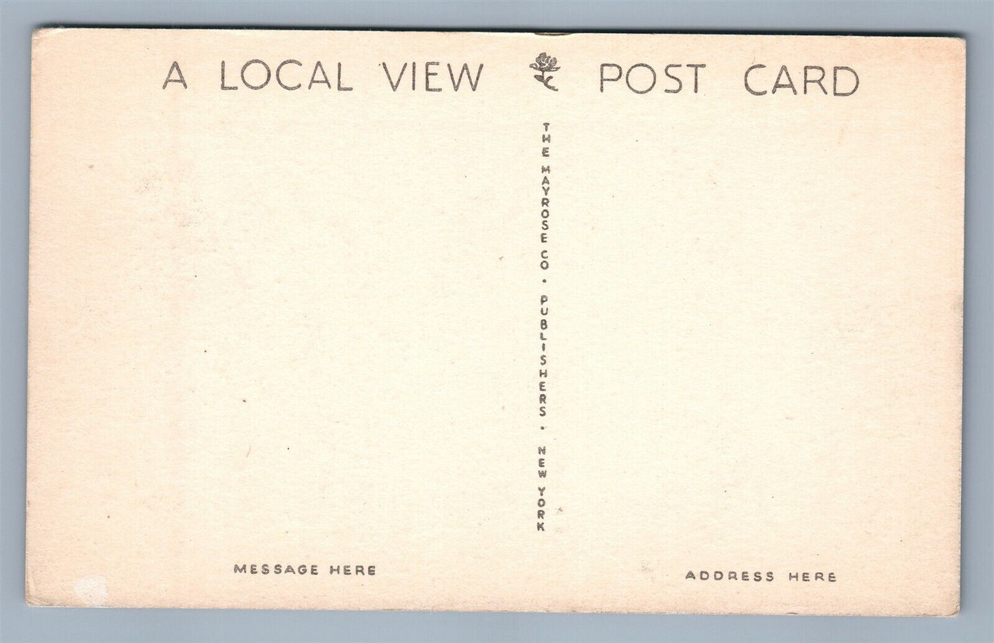 MILFORD NJ HOLLAND TOWNSHIP SCHOOL VINTAGE POSTCARD