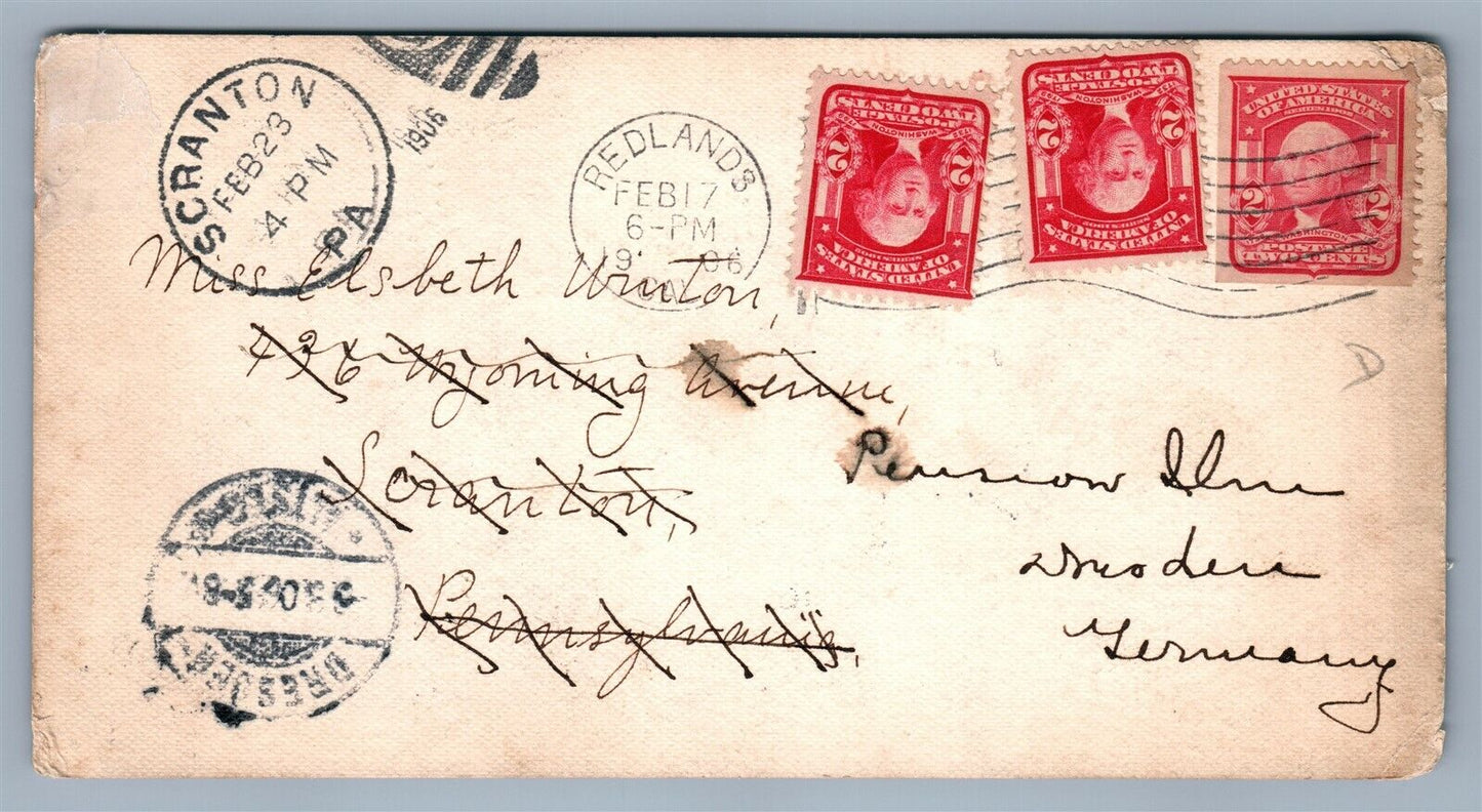 REEDLAND CA WALNUT AVENUE ANTIQUE POSTCARD