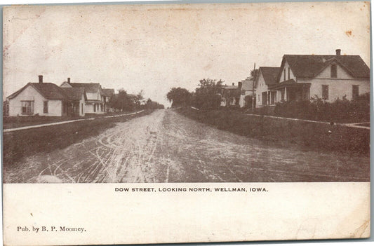 WELLMAN IA DOW STREET ANTIQUE POSTCARD