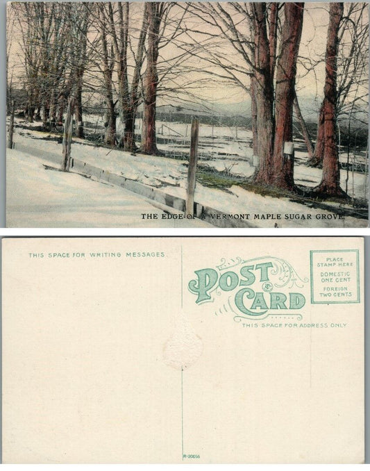 THE EDGE of VERMONT MAPLE SUGAR GROVE ANTIQUE POSTCARD