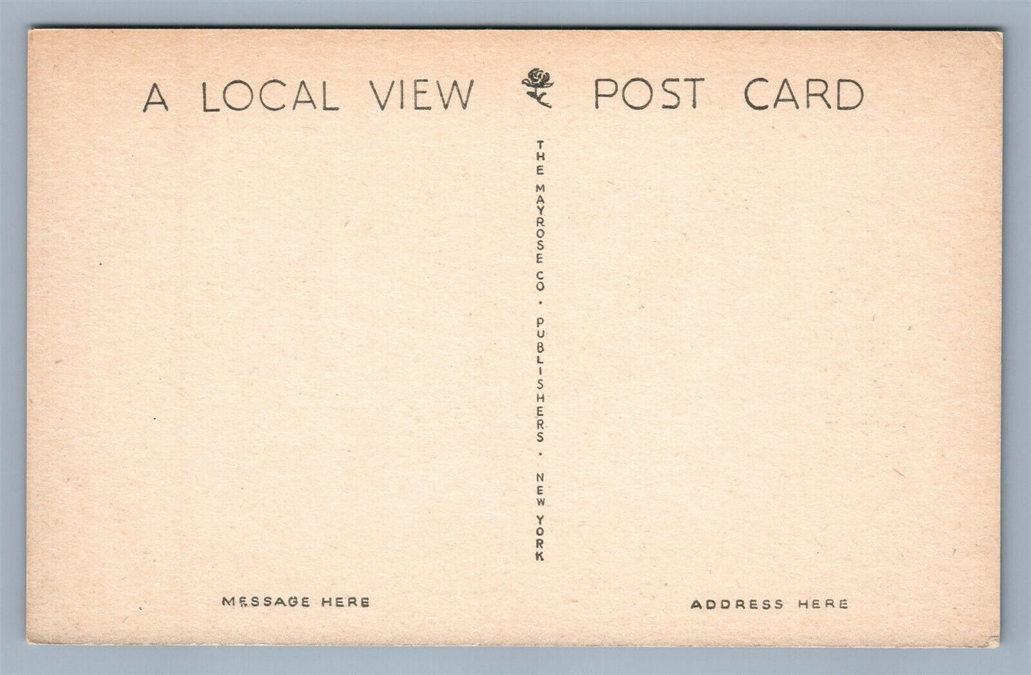 FLEMINGTON NJ ELEMENTARY SCHOOL ANTIQUE POSTCARD