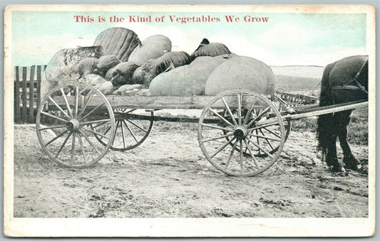 KIND OF VEGETABLES WE GROW 1922 EXAGGERATED ANTIQUE POSTCARD