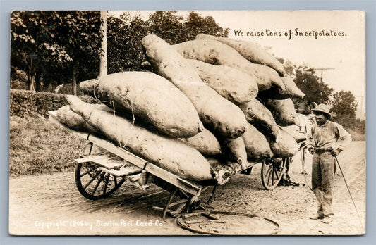 EXAGGERATED SWEETPOTATOES ANTIQUE REAL PHOTO POSTCARD RPPC