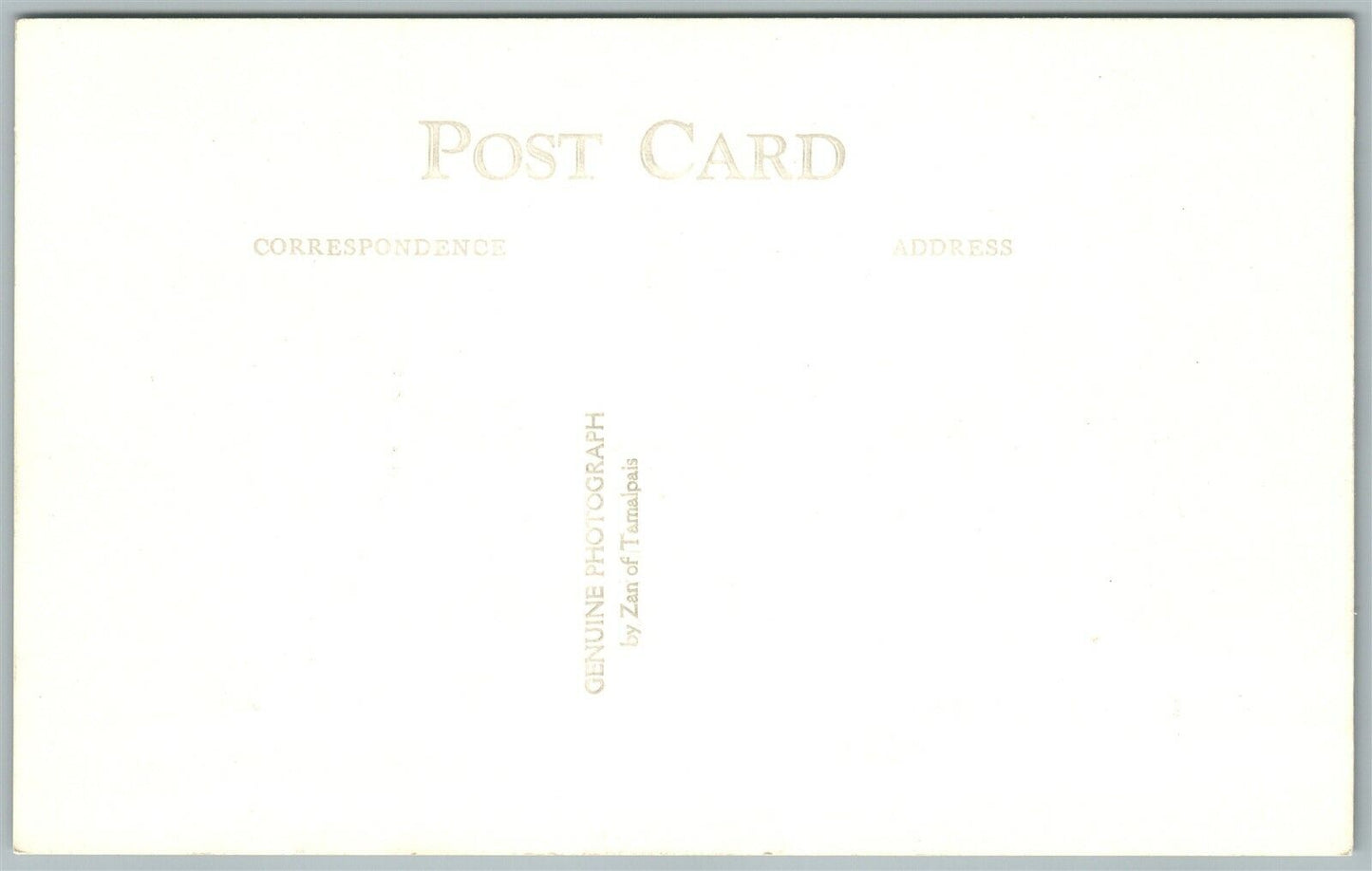 GIANT REDWOOD MUIR WOODS NAT'L MONUMENT CA ANTIQUE REAL PHOTO POSTCARD RPPC