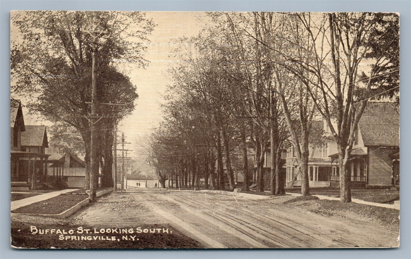 SPRINGVILLE NY BUFFALO STREET ANTIQUE POSTCARD
