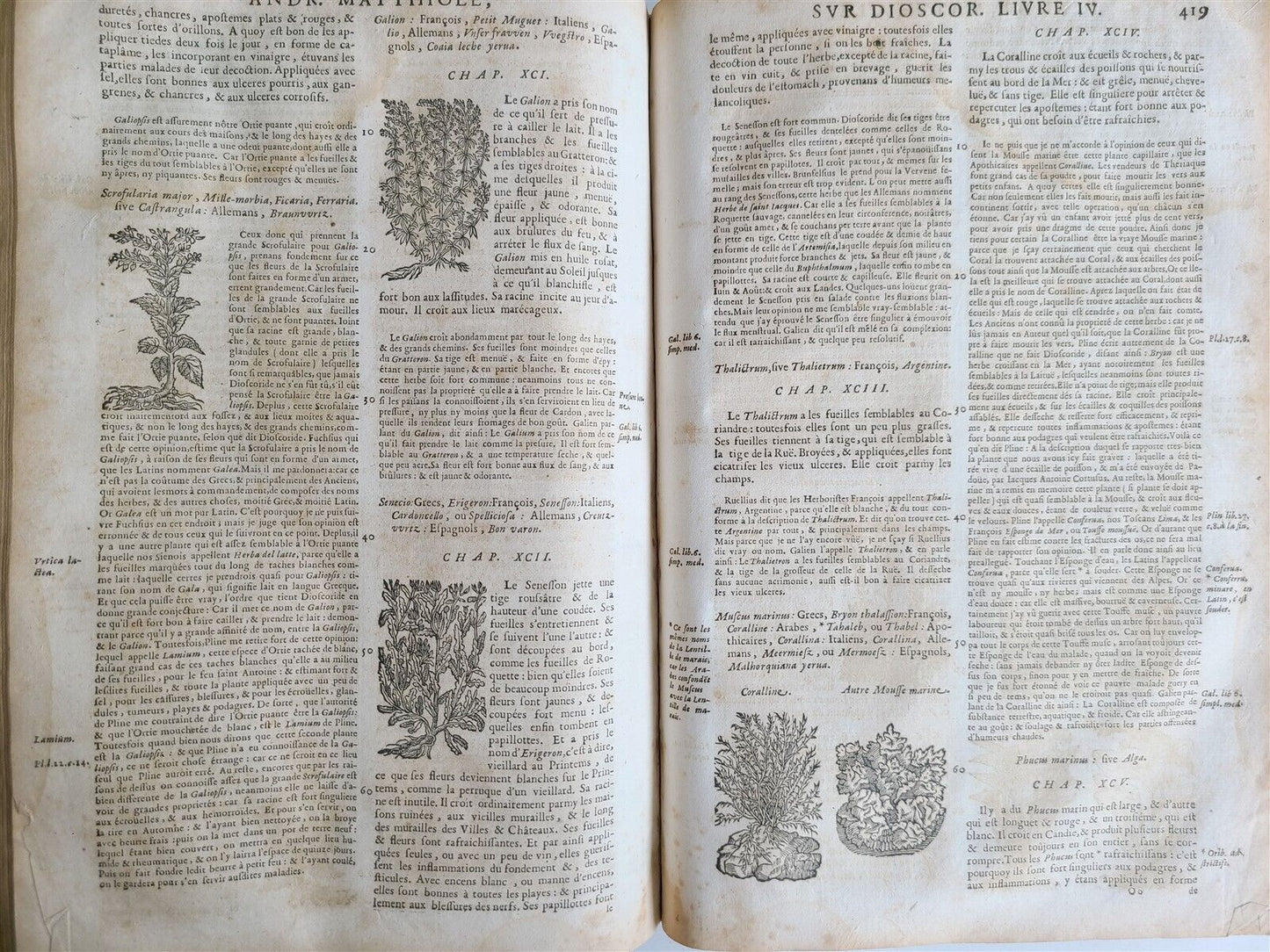 1680 MEDICAL PLANTS ILLUSTRATED w/ 1478 woodcuts antique by Mattioli FOLIO rare