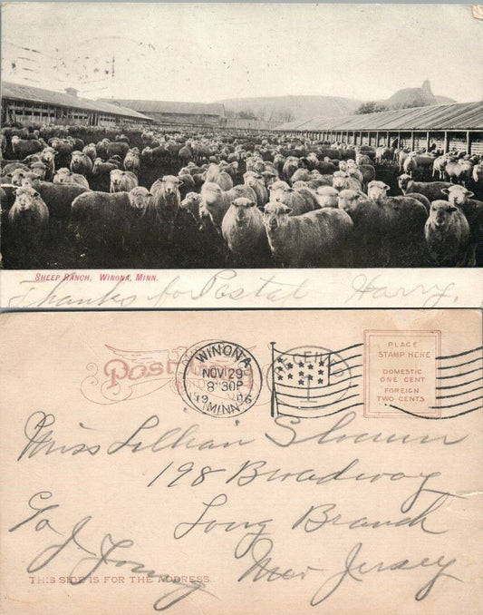 THRESHING IN MONTANA DRY LAND FARM ANTIQUE POSTCARD farm scene