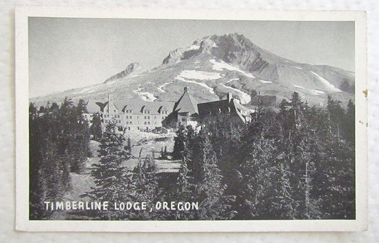 VINTAGE POSTCARD TIMBERLINE LODGE OREGON