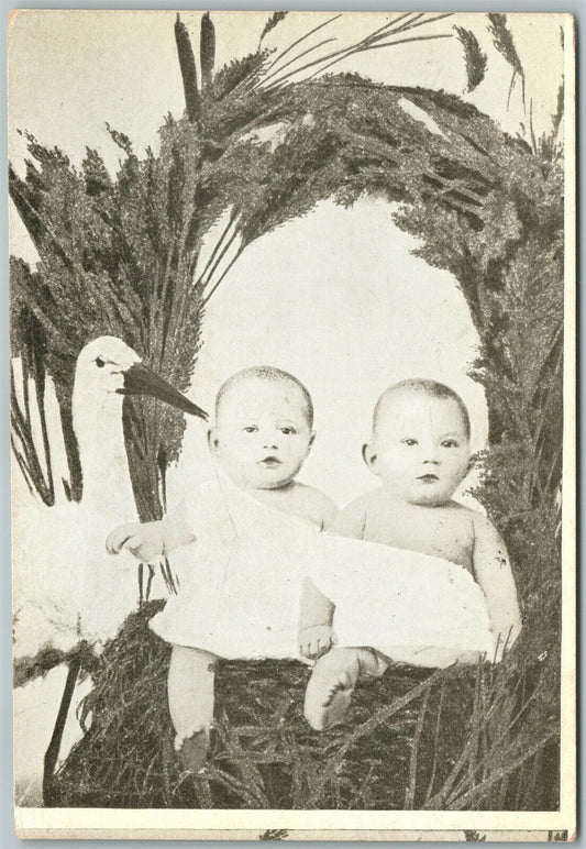 MULTIPLE BABIES in A STORK NEST ANTIQUE UNDIVIDED POSTCARD