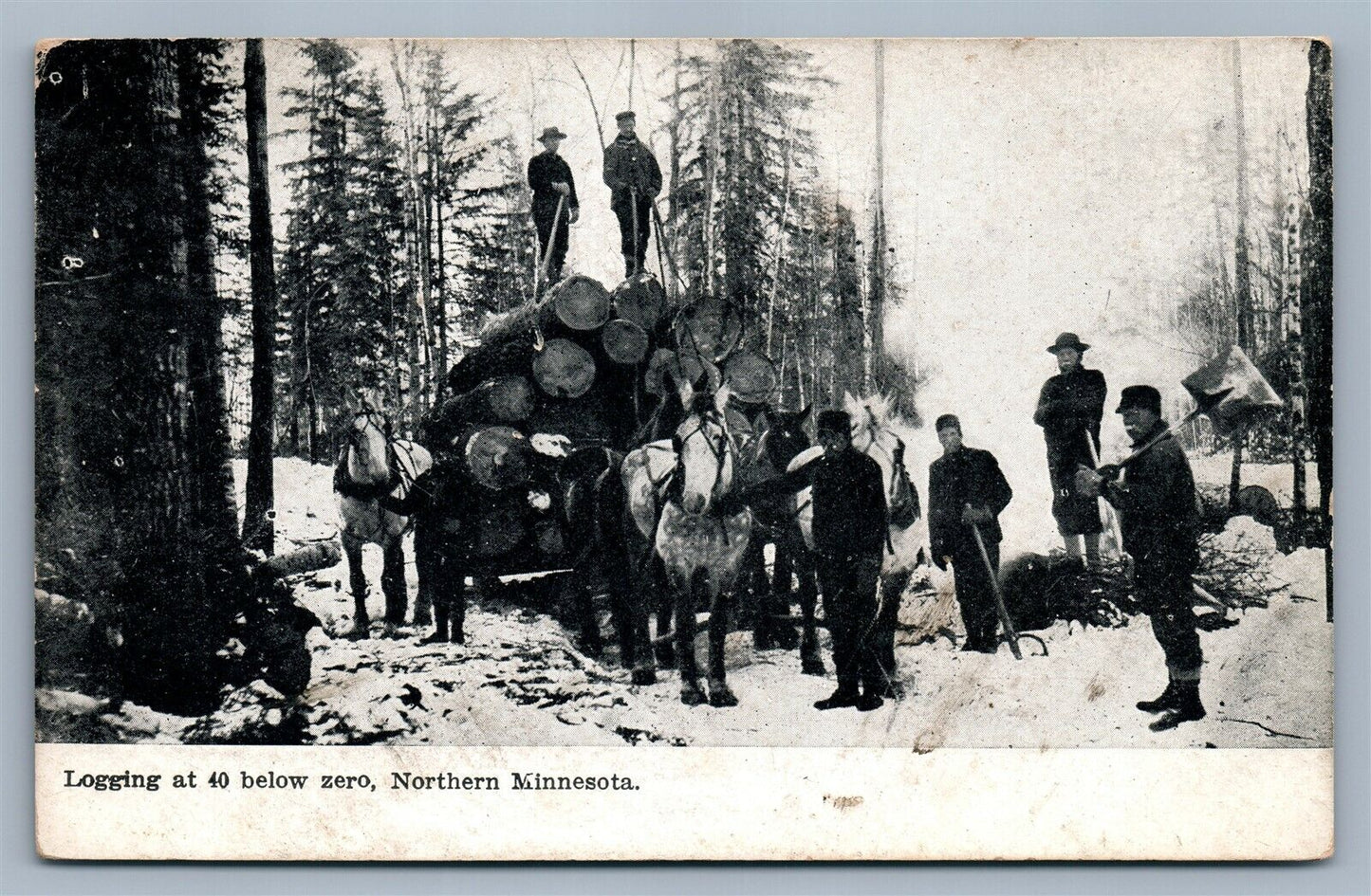 NORTHERN MINNESOTA LOGGING AT 40 BELOW ZERO ANTIQUE POSTCARD