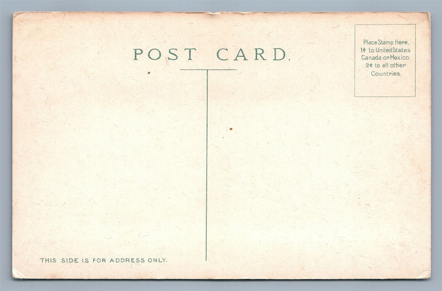 GRAND RAPIDS WI CONSOLIDATED WATER POWER & PAPER CO. ANTIQUE POSTCARD