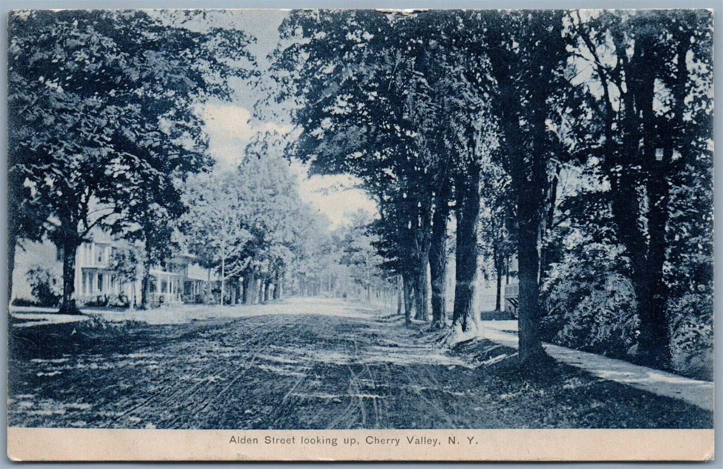 CHERRY VALLEY NY ALDEN STREET 1908 ANTIQUE POSTCARD