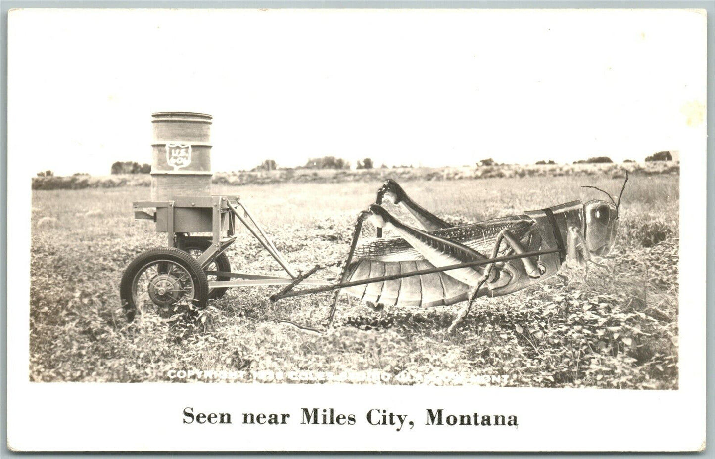 MILES CITY MT EXAGGERATED GRASSHOPPER ON FARM VINTAGE REAL PHOTO POSTCARD RPPC