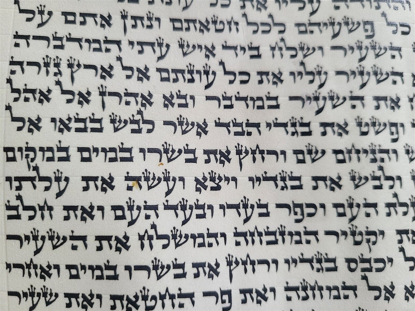TORAH SCROLL FRAGMENT MANUSCRIPT on VELLUM VINTAGE BIBLE LEVITICUS 16:8-17:3