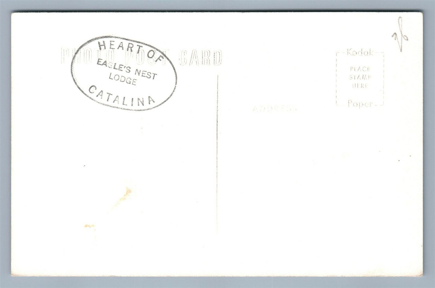 CATALINA ISLAND CA INLAND TOUR VINTAGE REAL PHOTO POSTCARD RPPC