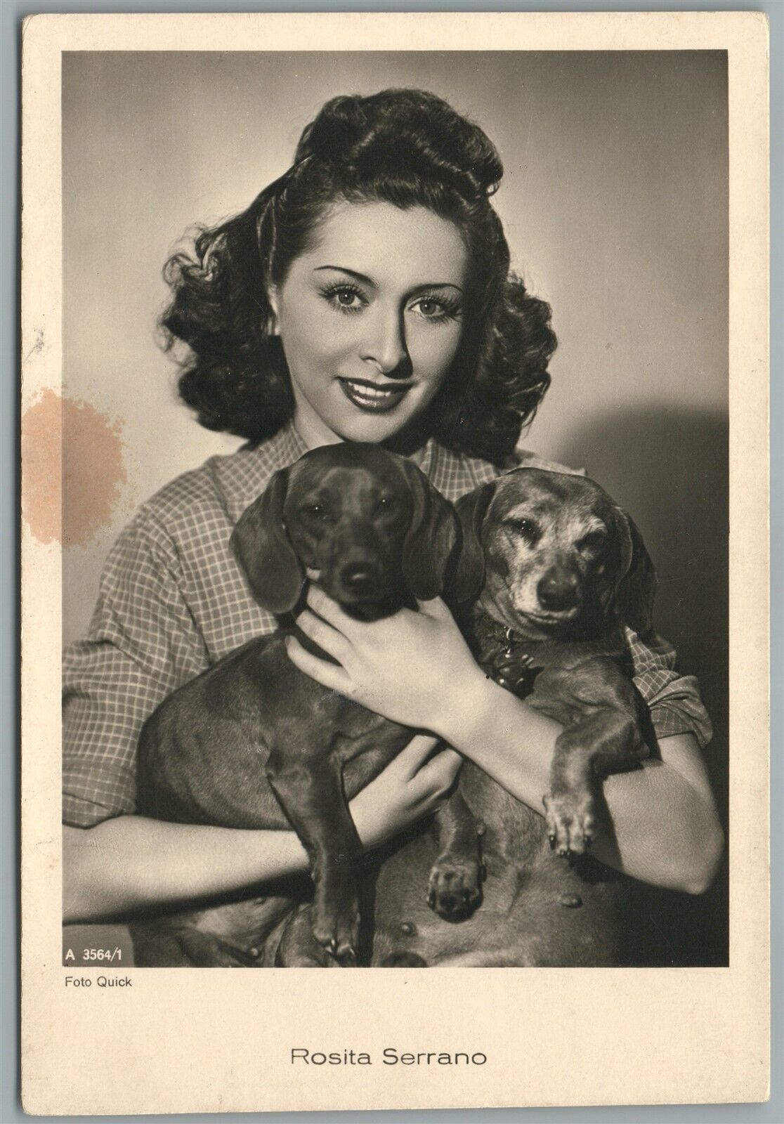 BEAUTY and the DOGS ANTIQUE REAL PHOTO POSTCARD RPPC