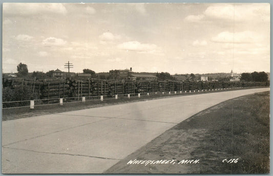 WATERSMEET MI LUMBER YARD VINTAGE REAL PHOTO POSTCARD RPPC