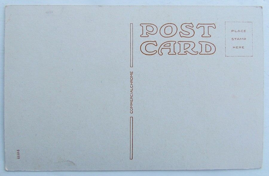 VINTAGE POSTCARD THE ESPLANADE GRAND VIEW WERNERSVILLE PA