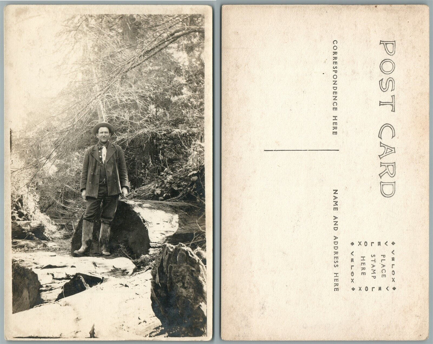 MAN AT LARGE CUT TREE ANTIQUE REAL PHOTO POSTCARD RPPC