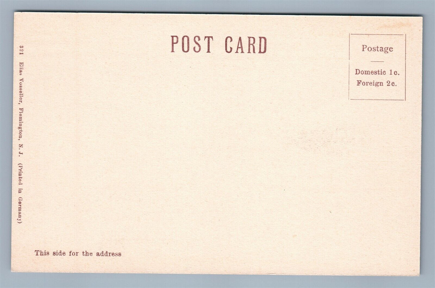 FLEMINGTON NJ ROMAN CATHOLIC CHURCH ANTIQUE POSTCARD