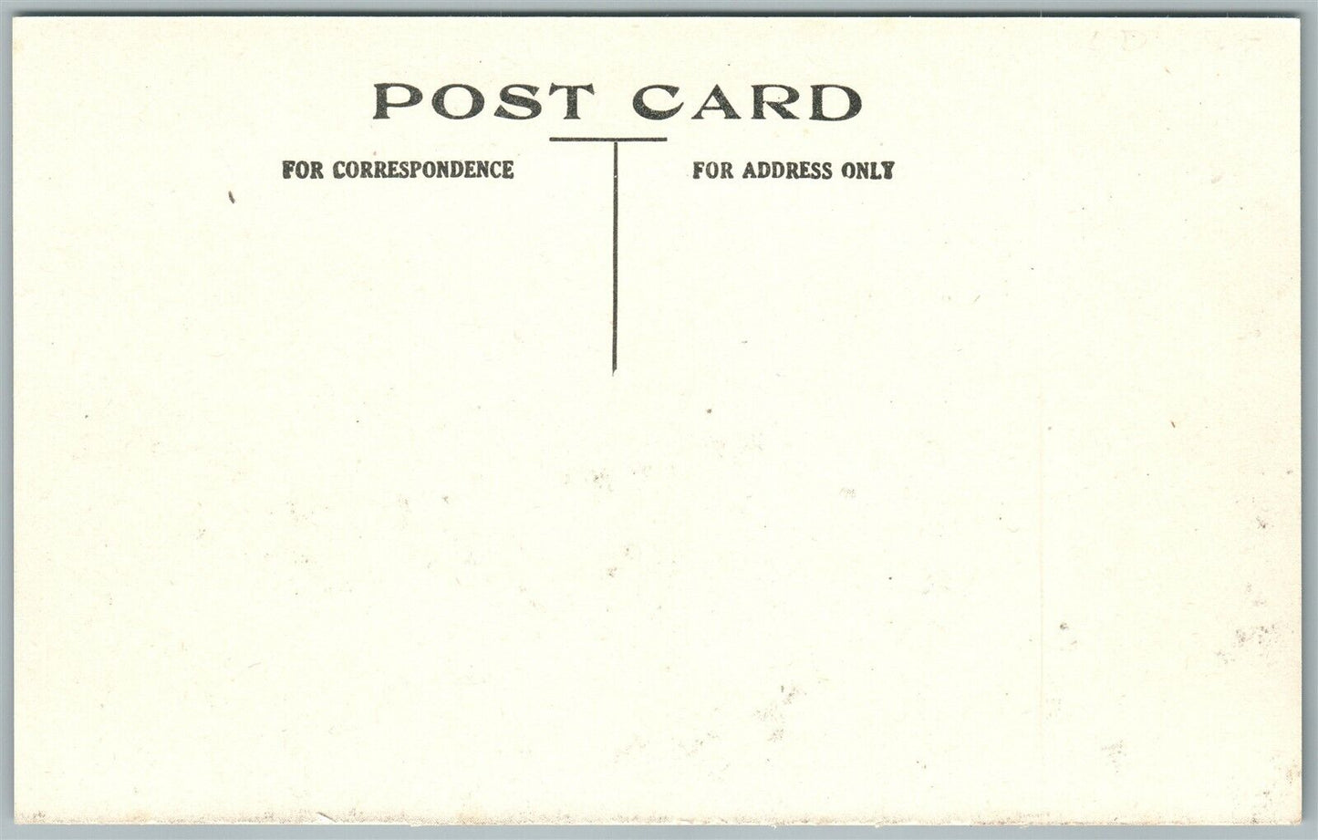 KIND OF ONIONS WE GROW EXAGGERATED ANTIQUE POSTCARD farming