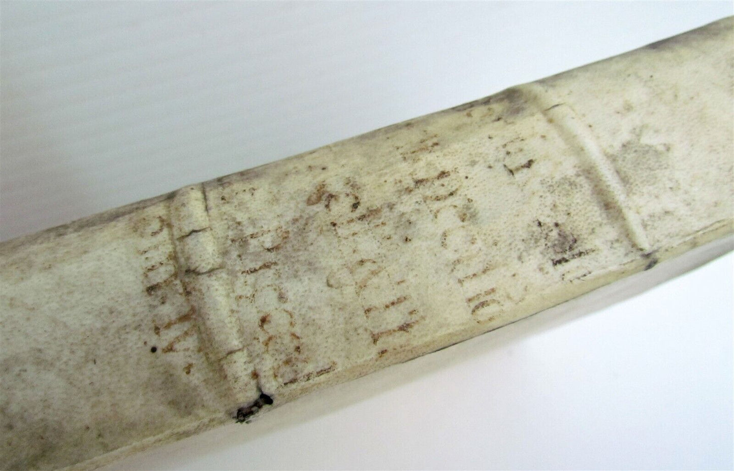 1665 THEOLOGY by Francesco Bordoni antique FOLIO VELLUM BOUND