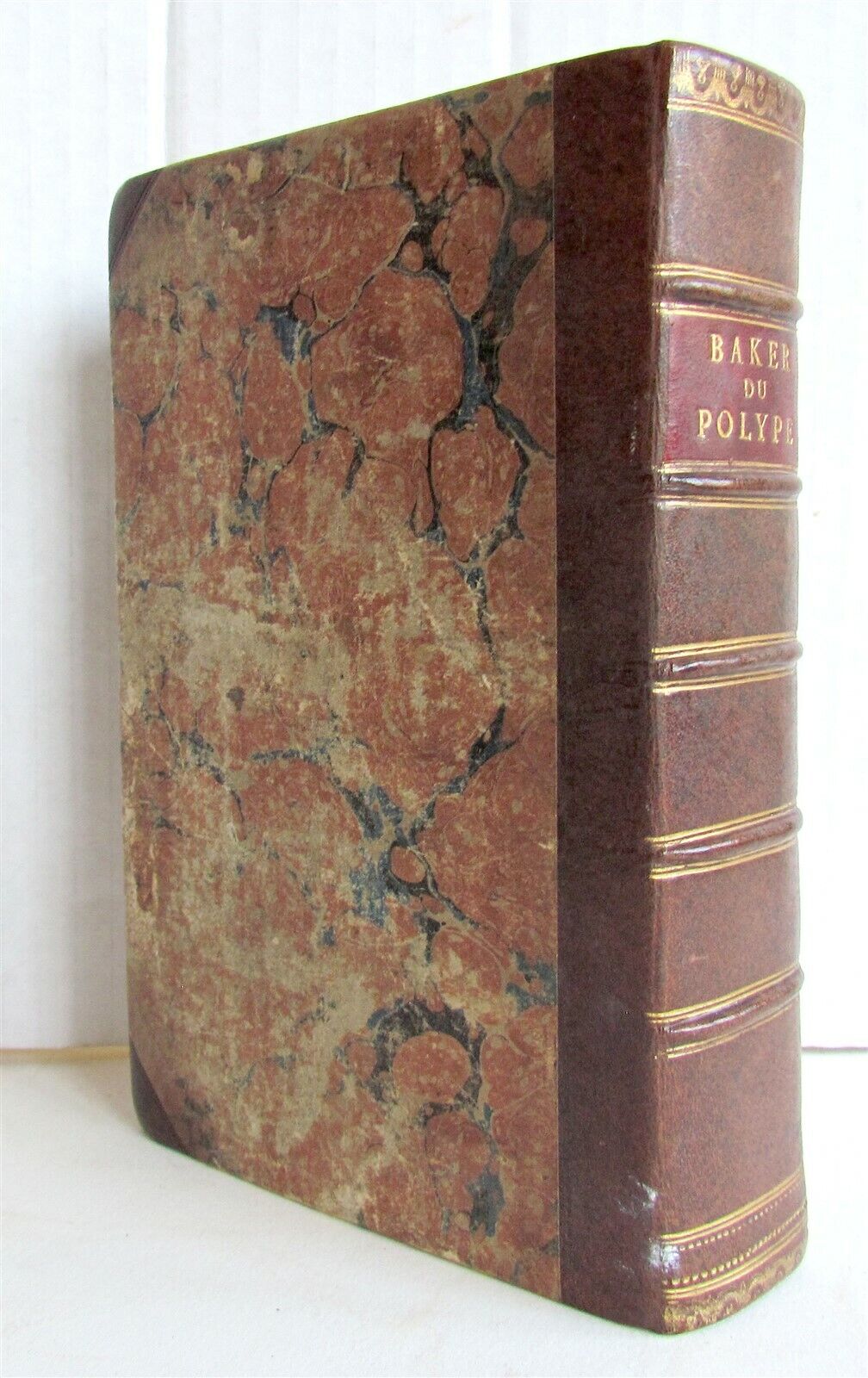 1744 NATURAL HISTORY of the POLYPES ILLUSTRATED w/ 22 engraved plates ANTIQUE