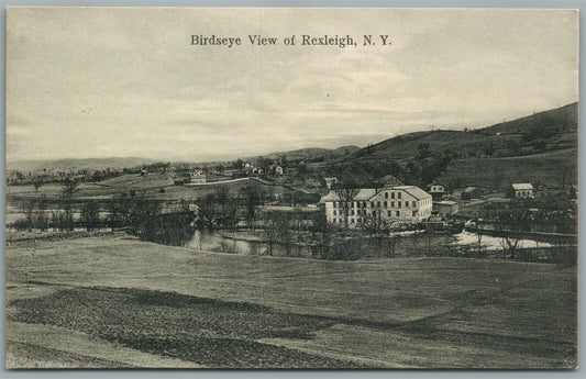 REXLEIGH NY BIRDSEYE VIEW ANTIQUE POSTCARD