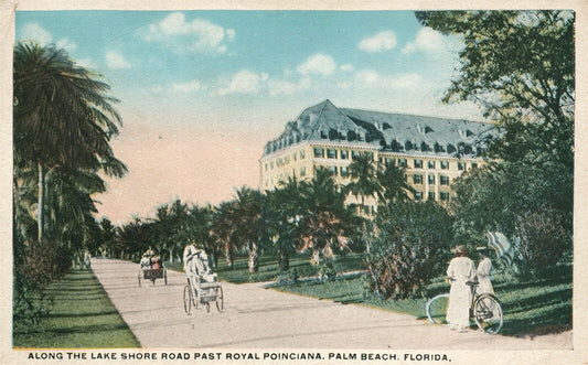 PALM BEACH FL LAKE SHORE ROAD PAST ROYAL POINCIANA ANTIQUE POSTCARD