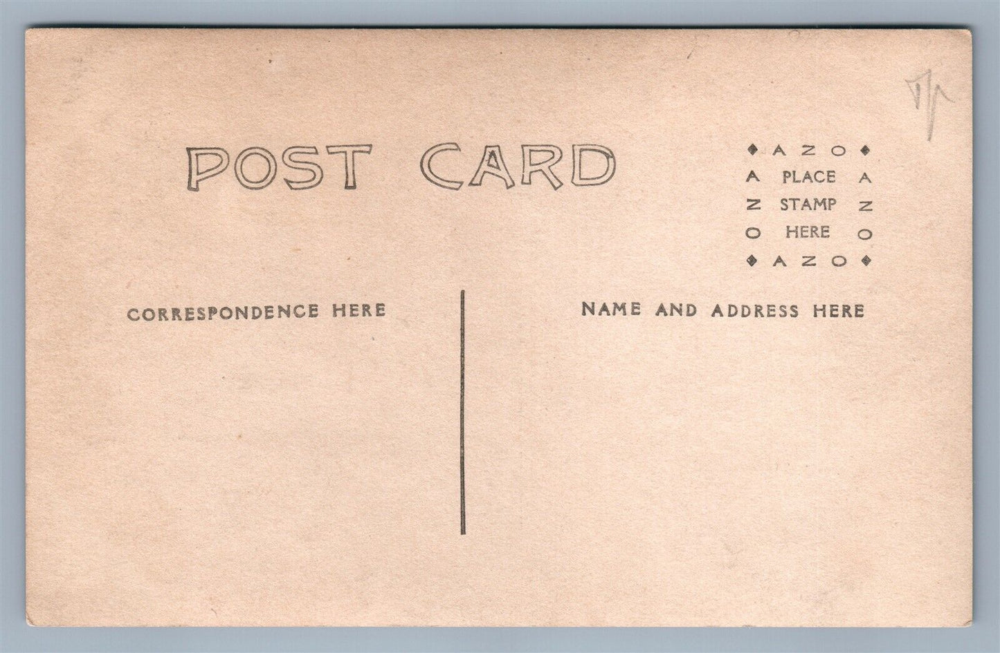 BOY w/ CHICKS PEEPS FARMING ANTIQUE REAL PHOTO POSTCARD RPPC