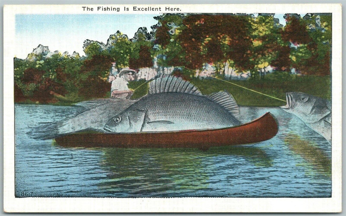 EXAGGERATED FISHING ANTIQUE POSTCARD FISH IS EXCELLENT HERE