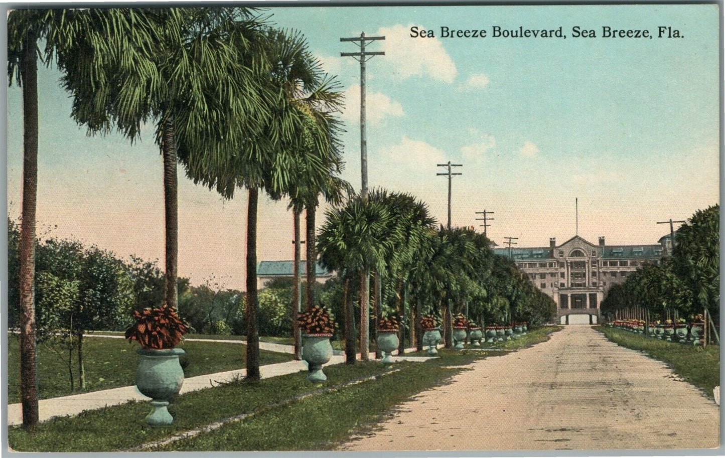 SEA BREEZE FL BOULEVARD ANTIQUE POSTCARD
