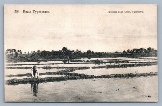 TURKESTAN near TASHKENT RUSSIAN ANTIQUE POSTCARD UZBEKISTAN