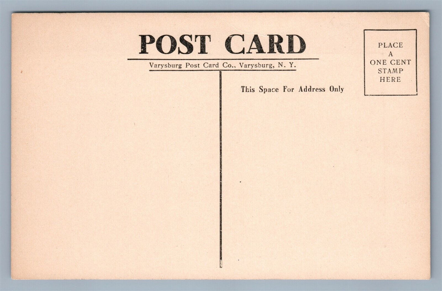 ALDEN NY STREET TO CRITTENDEN ANTIQUE POSTCARD