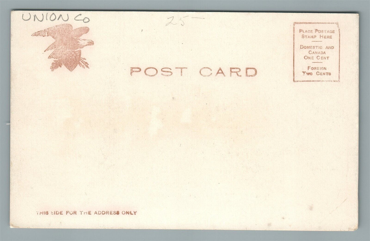 SUMMIT NJ DE FOREST AVE. ANTIQUE POSTCARD