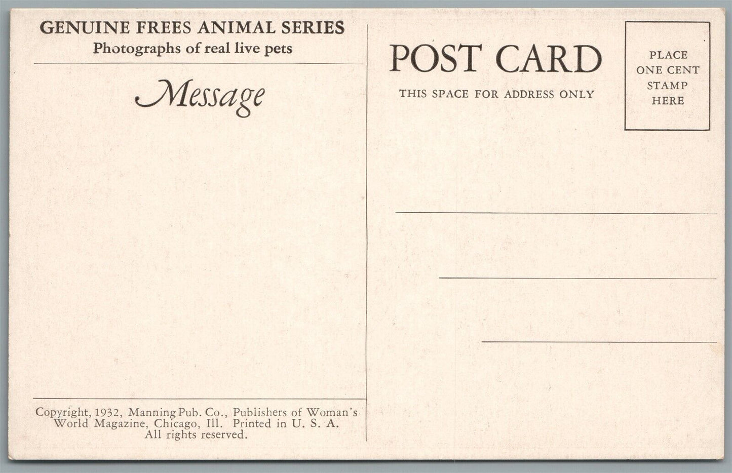 CAT w/ SHIP WHEEL ANTIQUE POSTCARD