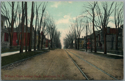 JOHNSTOWN NY WILLIAMS STREET ANTIQUE POSTCARD
