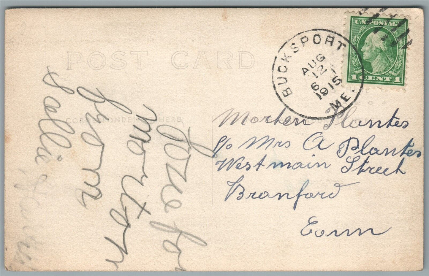 CATS GROUP ANTIQUE REAL PHOTO POSTCARD RPPC