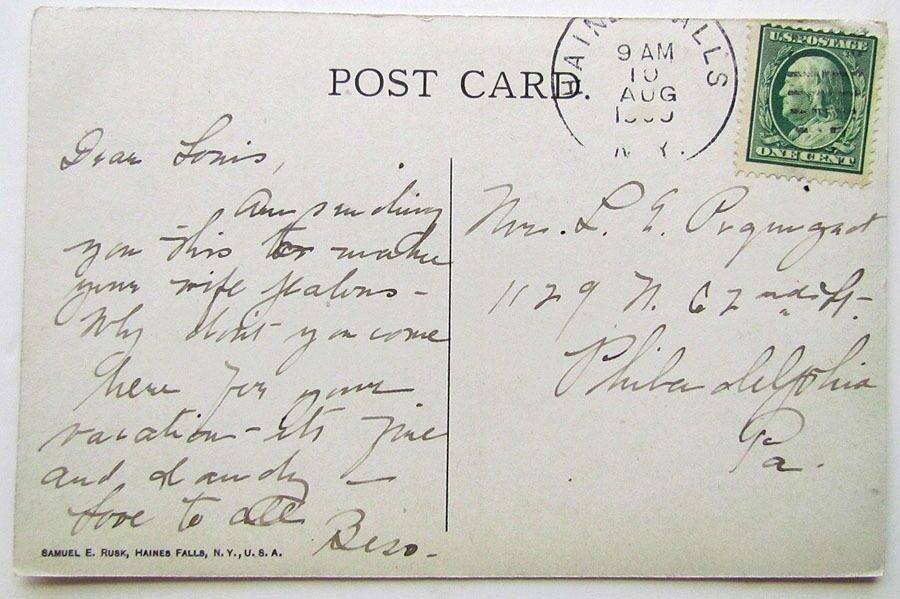 VINTAGE 1908 POSTCARD HAYNES FALLS FROM SUNSET PARK CATSKILL MTS NY