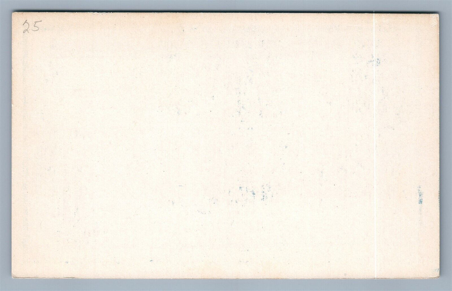 MULTI 5 DUTCH BABIES w/ STORK ANTIQUE POSTCARD