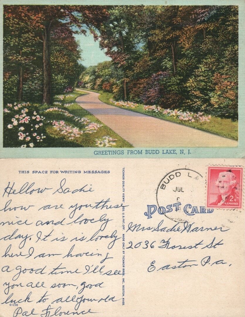 GREETINGS FROM BUDD LAKE N.J. VINTAGE POSTCARD