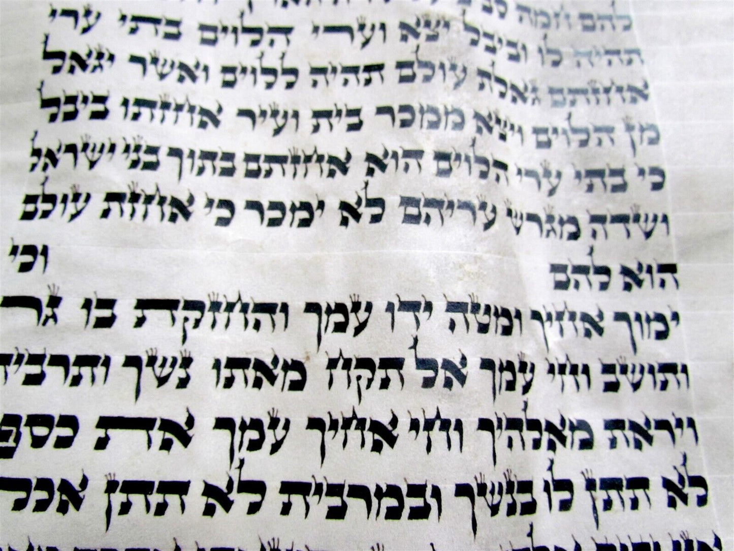 TORAH SCROLL FRAGMENT MANUSCRIPT VELLUM ANTIQUE BIBLE Leviticus 24:2-26:18