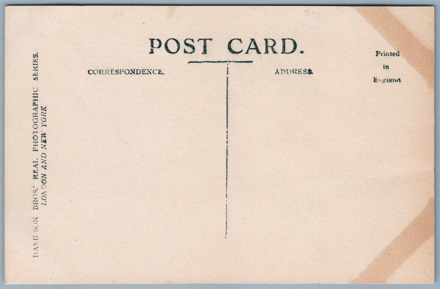 ANTIQUE REAL PHOTO PHOTOMONTAGE POSTCARD RPPC NEW YEAR CATS DOGS