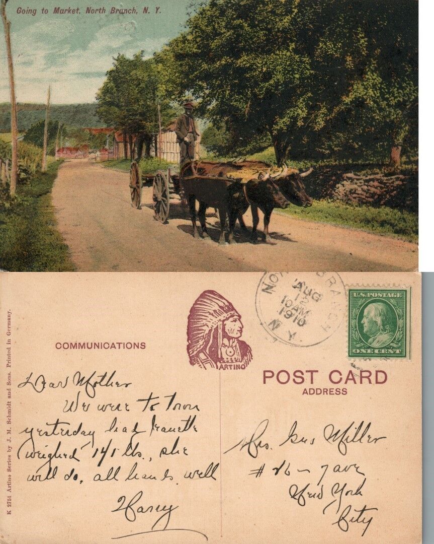 NORTH BRANCH N.Y. 1910 ANTIQUE POSTCARD