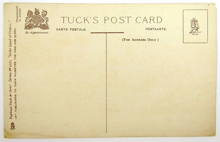 ANTIQUE POSTCARD ON A SOUTHERN RIVER COTTON FREIGHT SHIPS