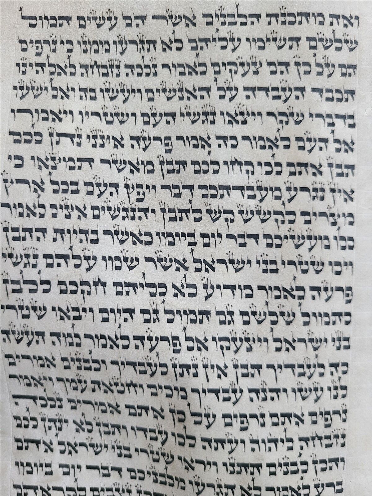 TORAH SCROLL FRAGMENT MANUSCRIPT on VELLUM ANTIQUE BIBLE EXODUS 2:24-6:30