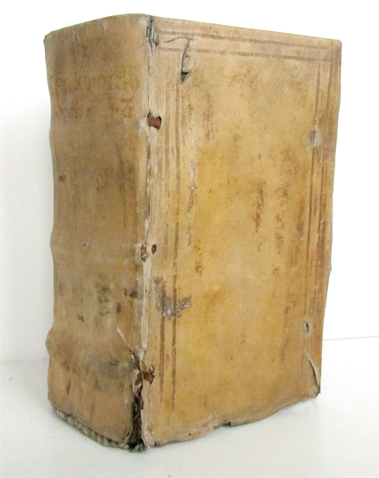 1624 CASPARIS ENS EPIDORPIDUM antique