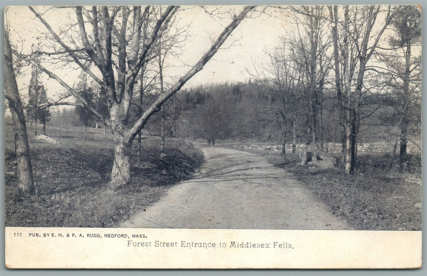 STONEHAM MA MIDDLESEX FELLS RESERVATION ANTIQUE POSTCARD
