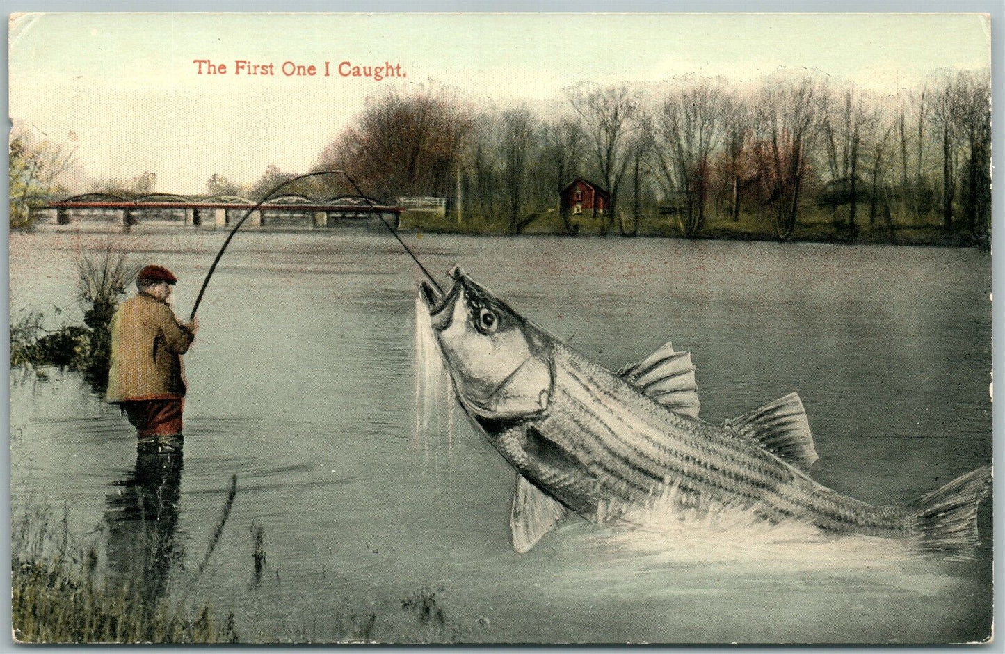 EXAGGERATED FISHING ANTIQUE POSTCARD THE FIRST FISH I CAUGHT
